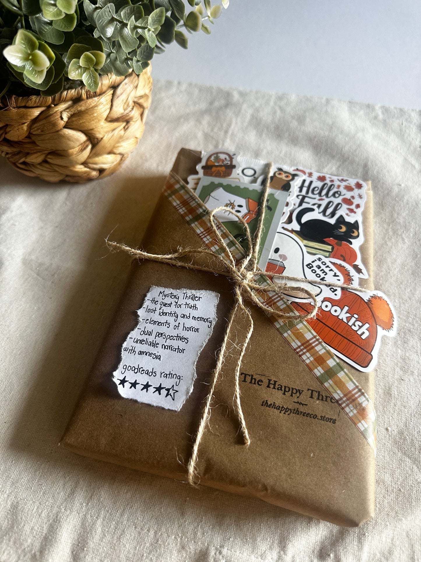 Mystery Thriller Blind Date with a Book