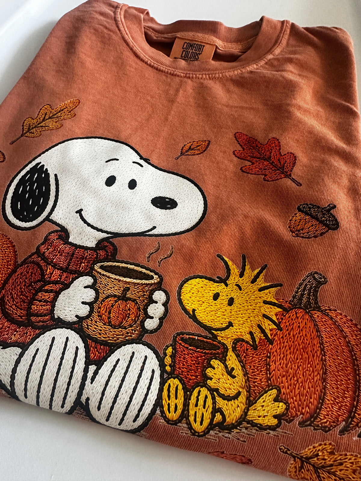 Fall Pumpkin T-shirt