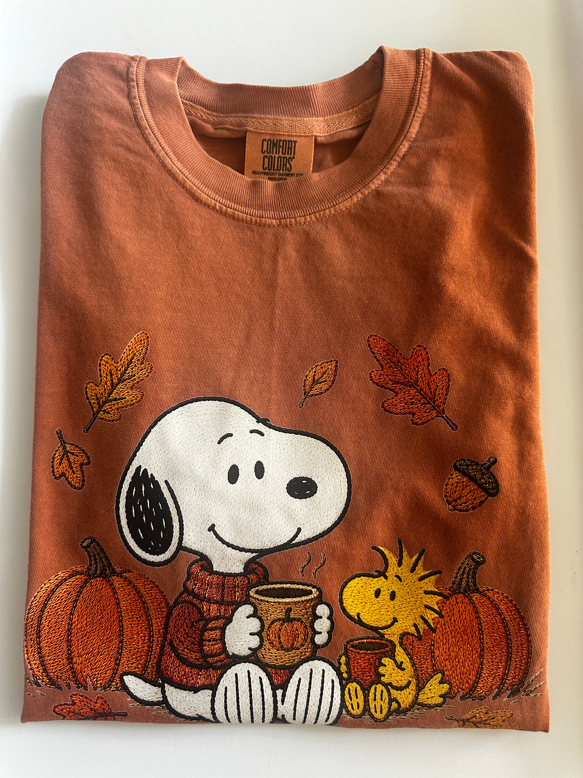 Fall Pumpkin T-shirt