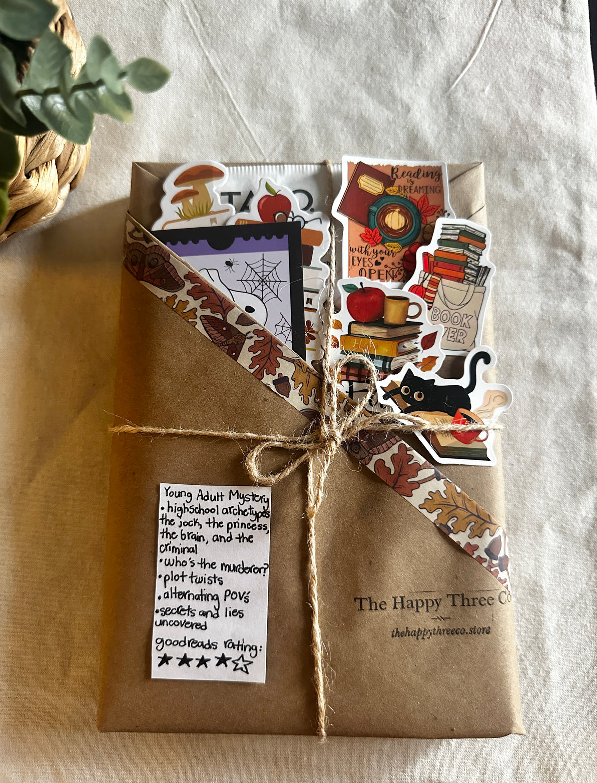Young Adult Mystery Blind Date with a Book