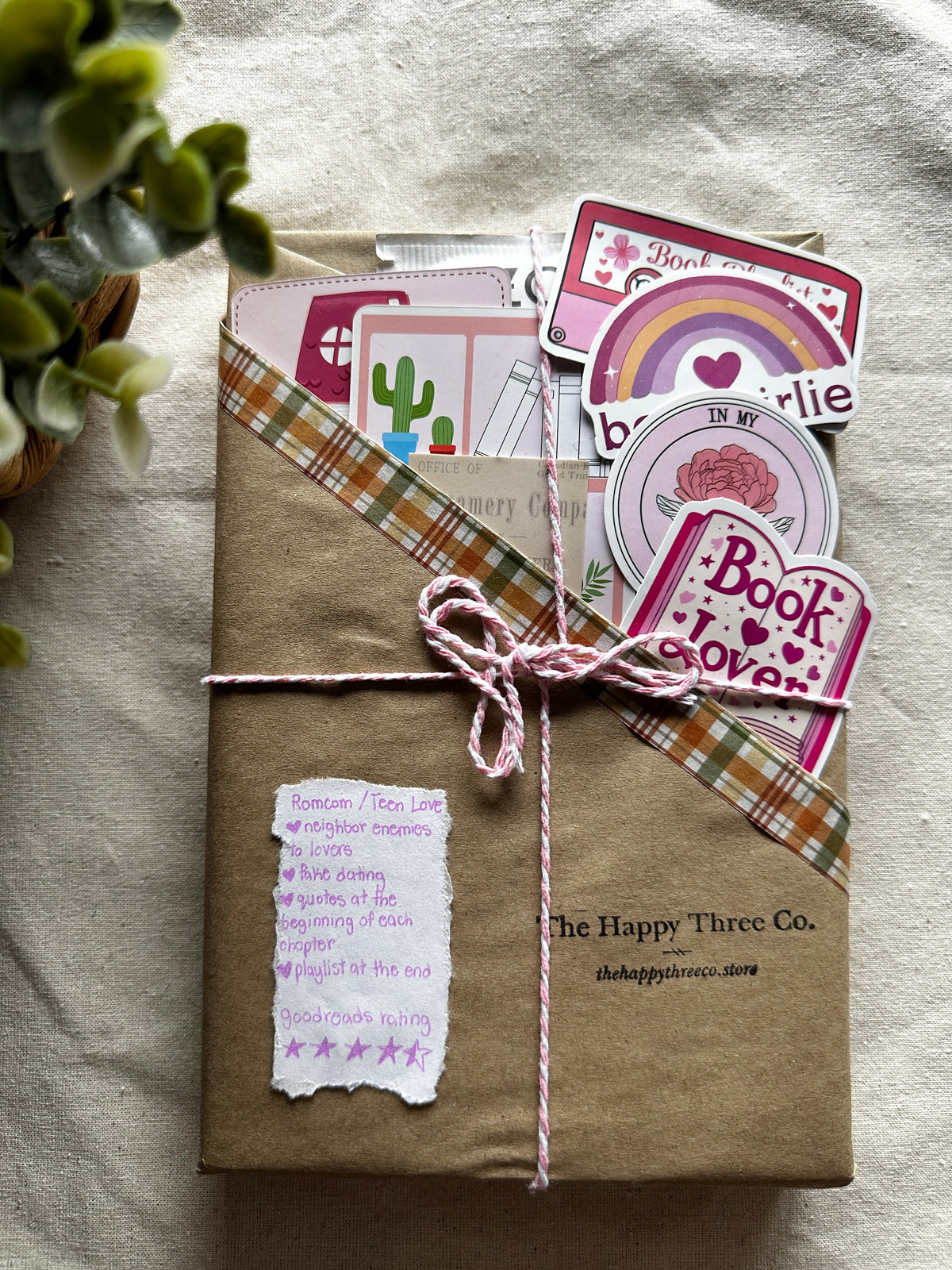 Romcom/Teen Love Blind Date with a Book